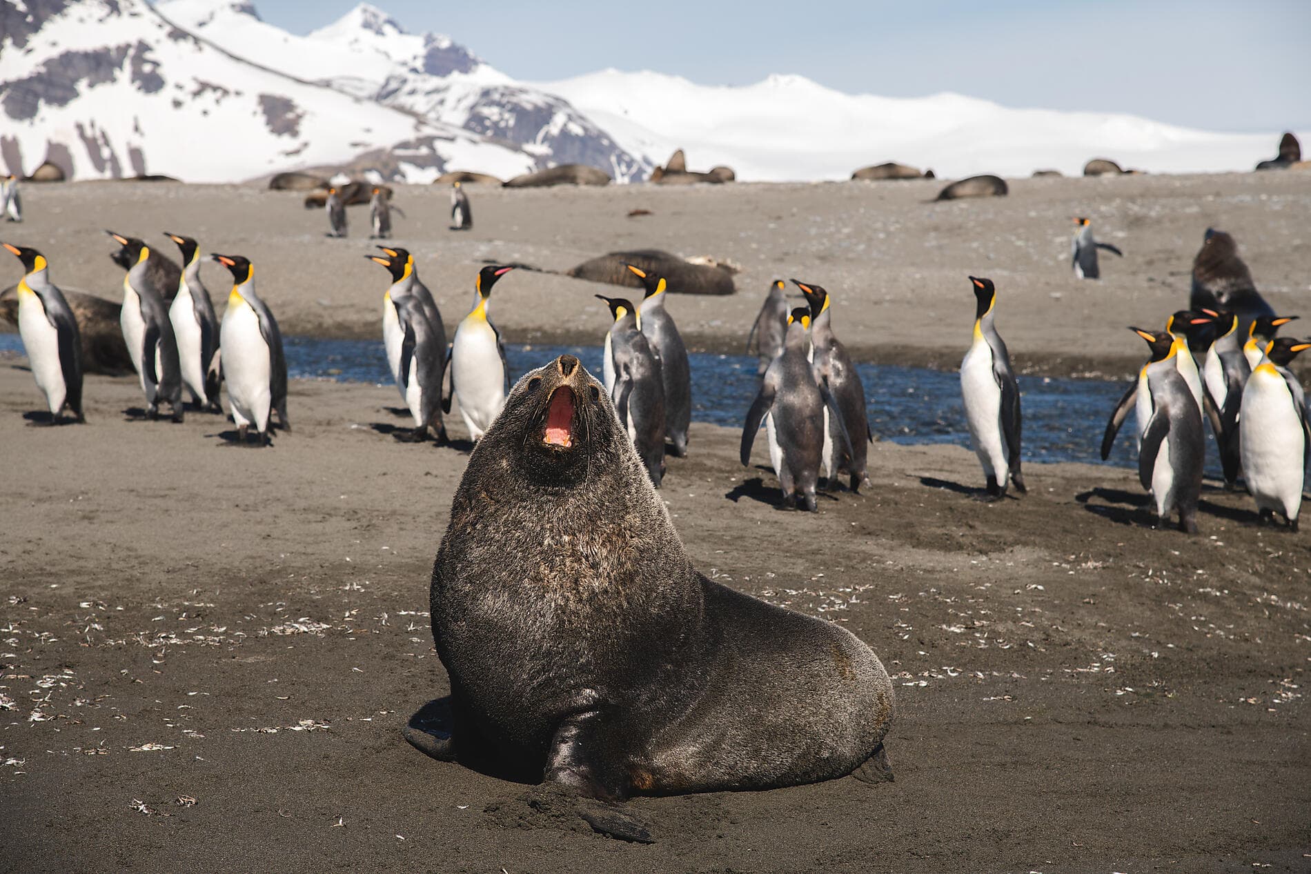 La grande boucle australe 