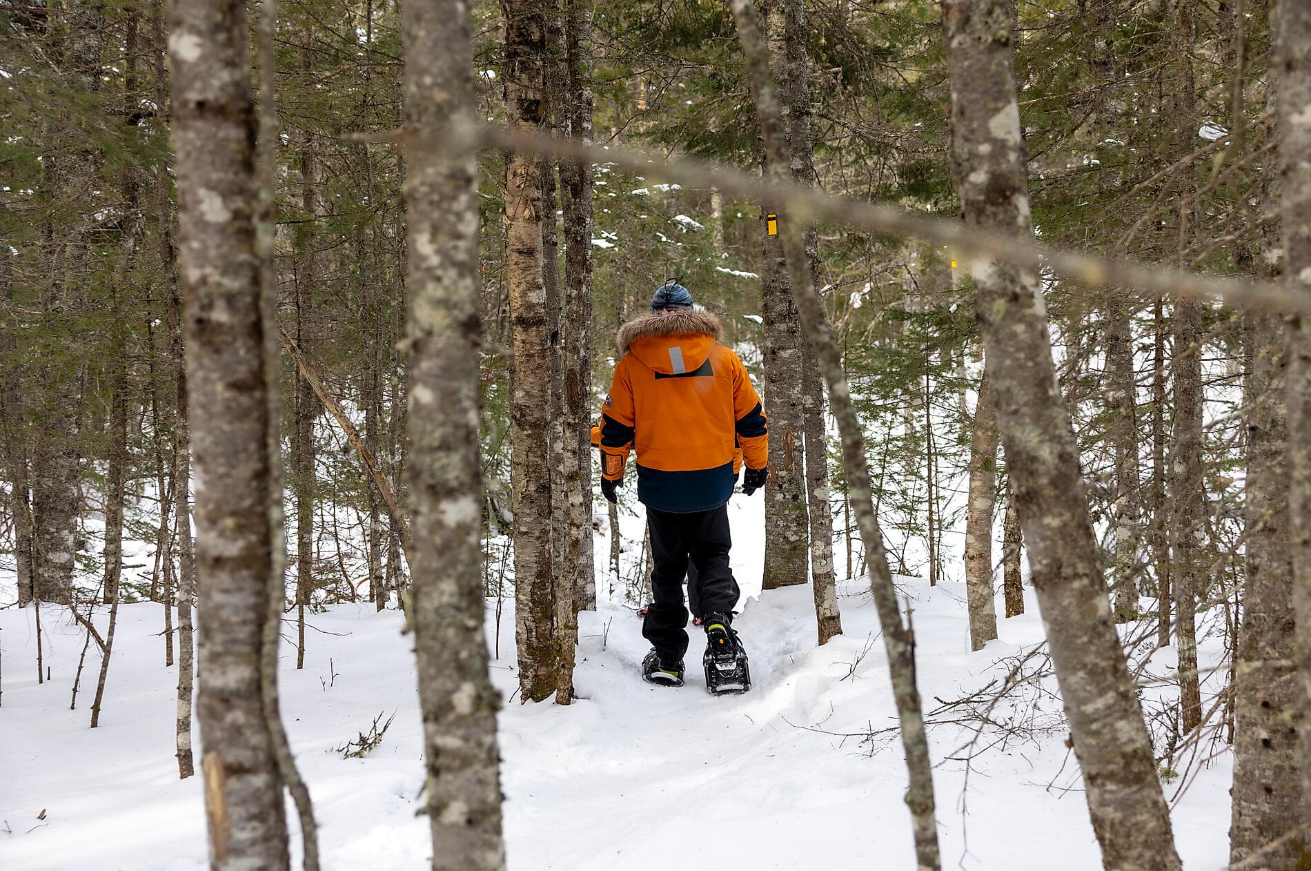 Derniers instants d'hiver, du Saint-Laurent au Groenland   
