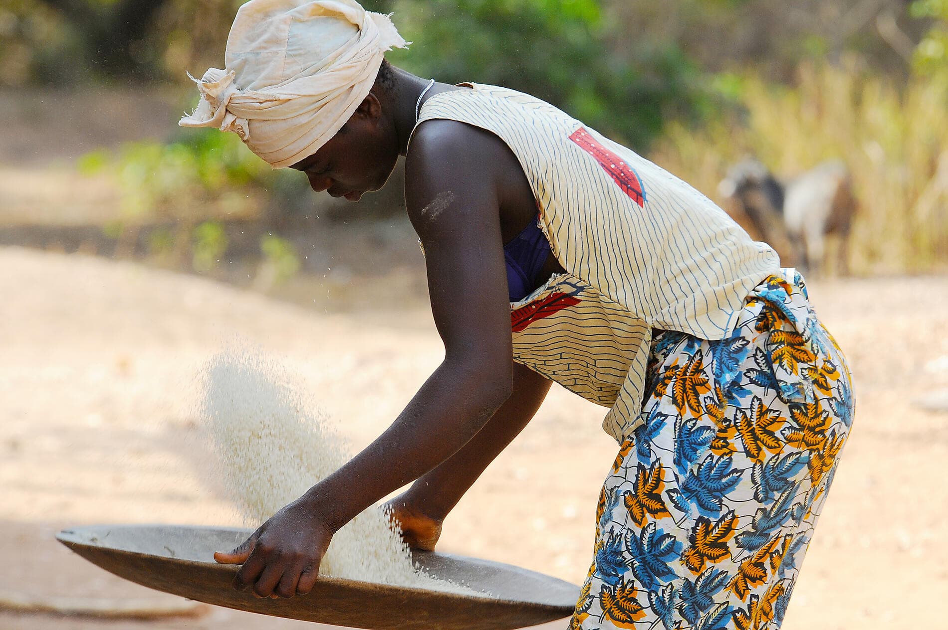 Aventure aux Bijagos