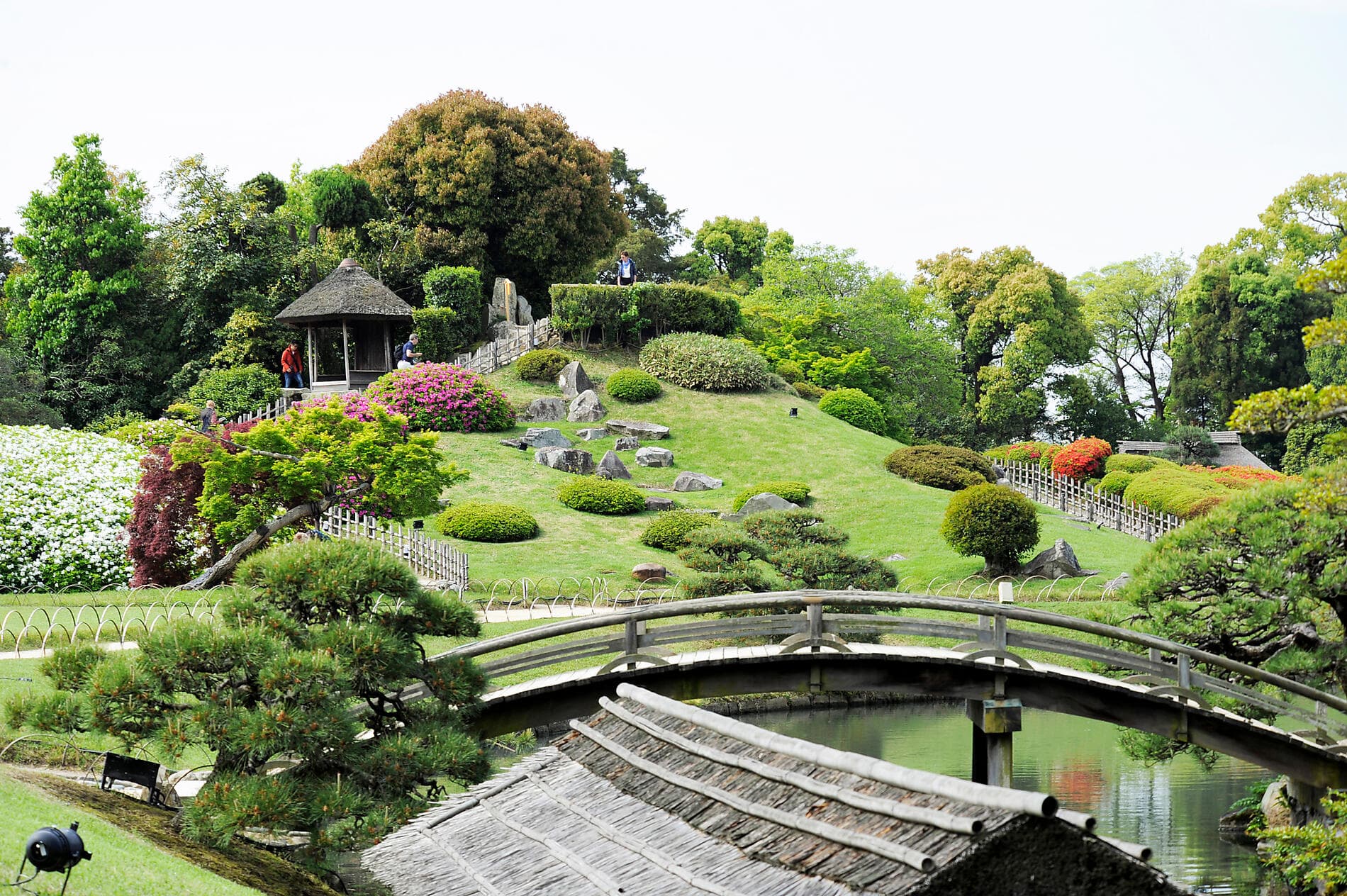 L'essentiel du Japon