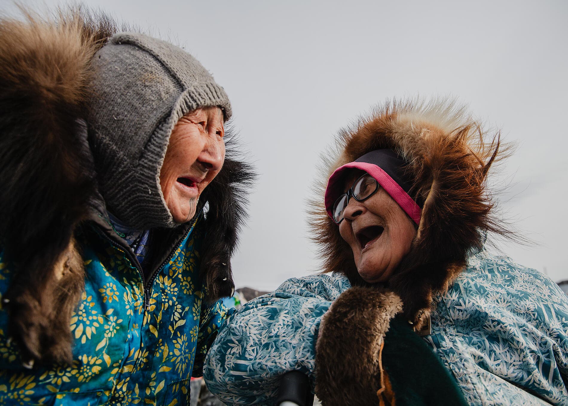 Des côtes sauvages du Groenland à la côte est du Canada 