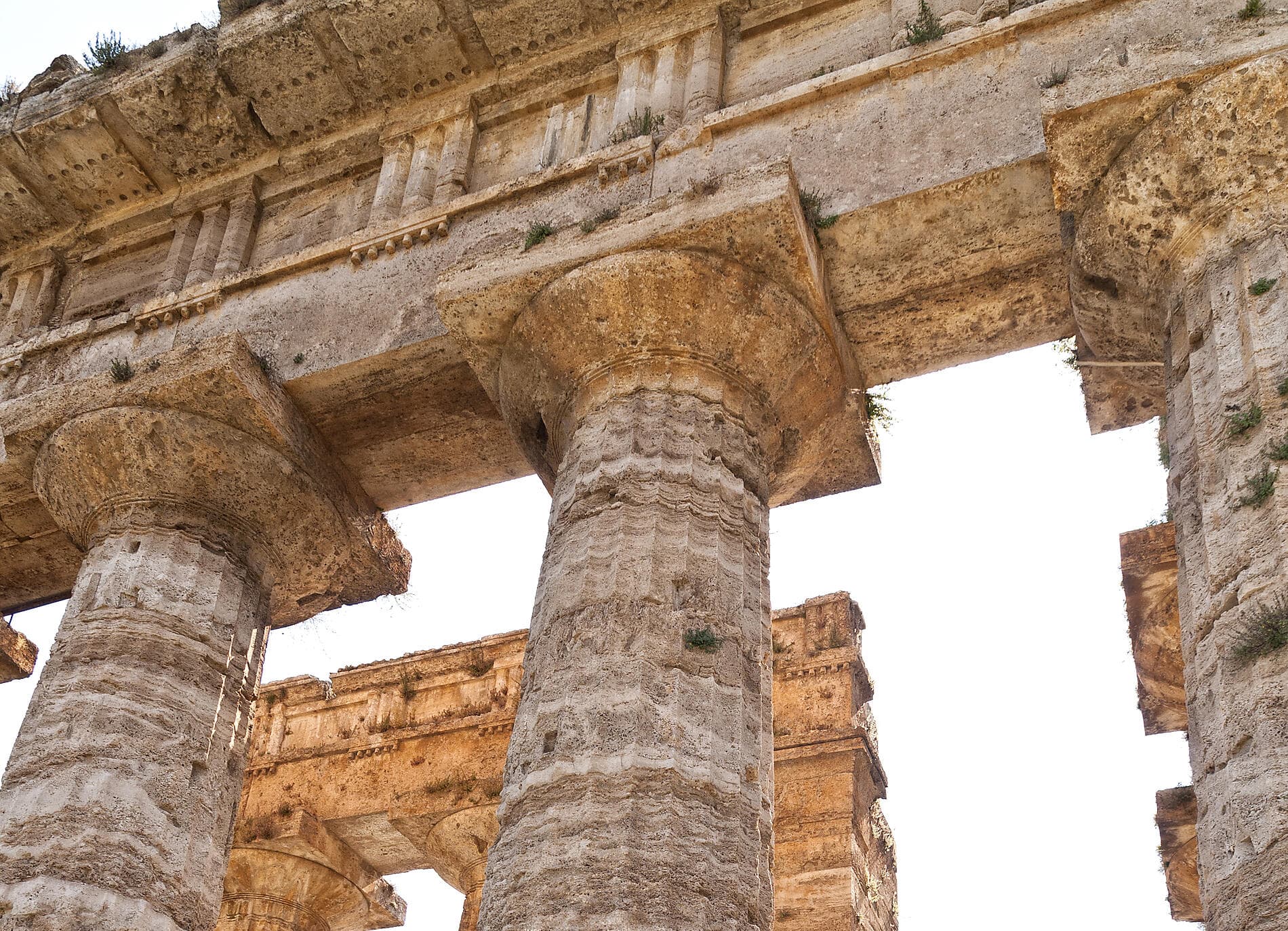 De la Cité des Anges aux rivages adriatiques  