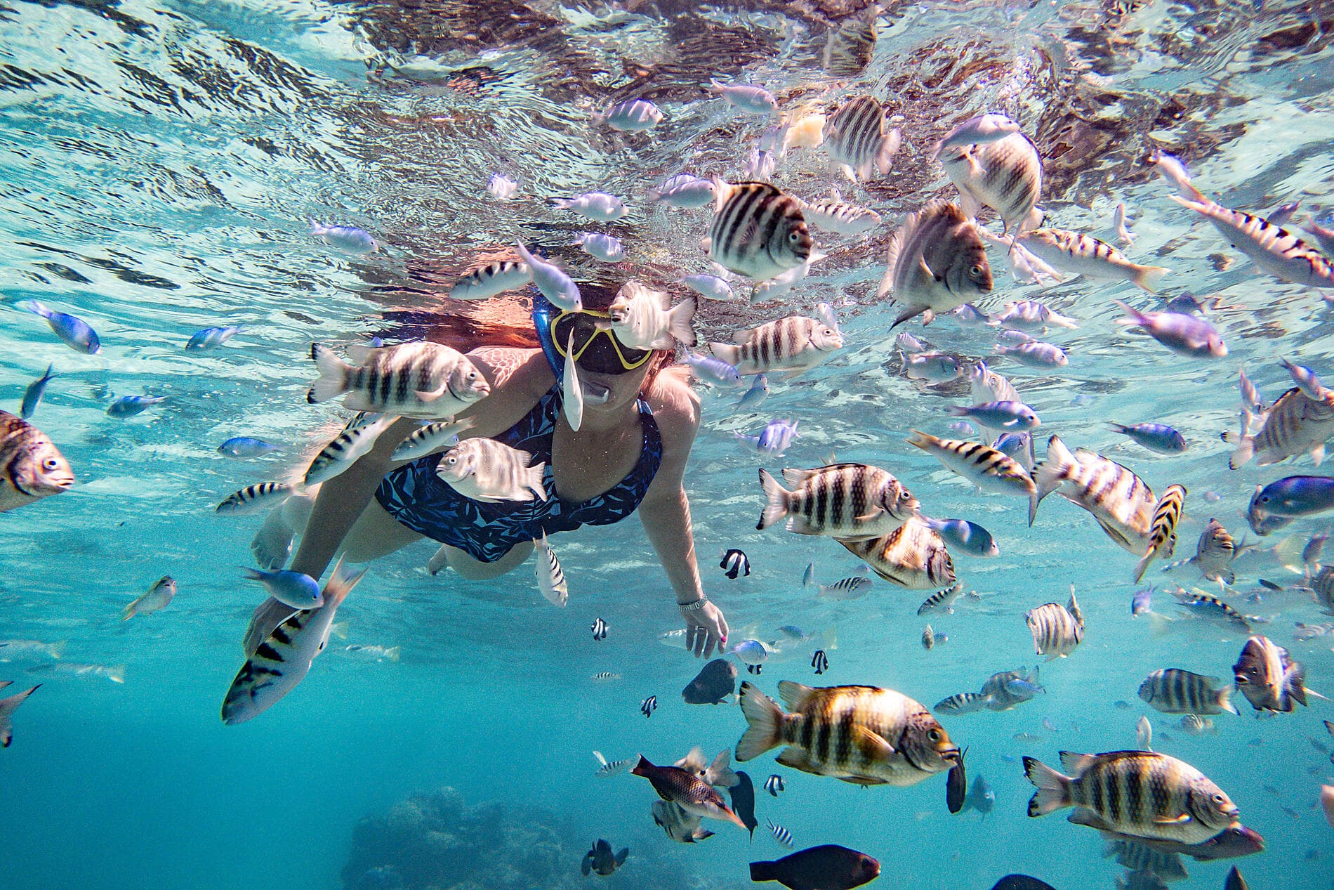 Tahiti et les îles de la Société