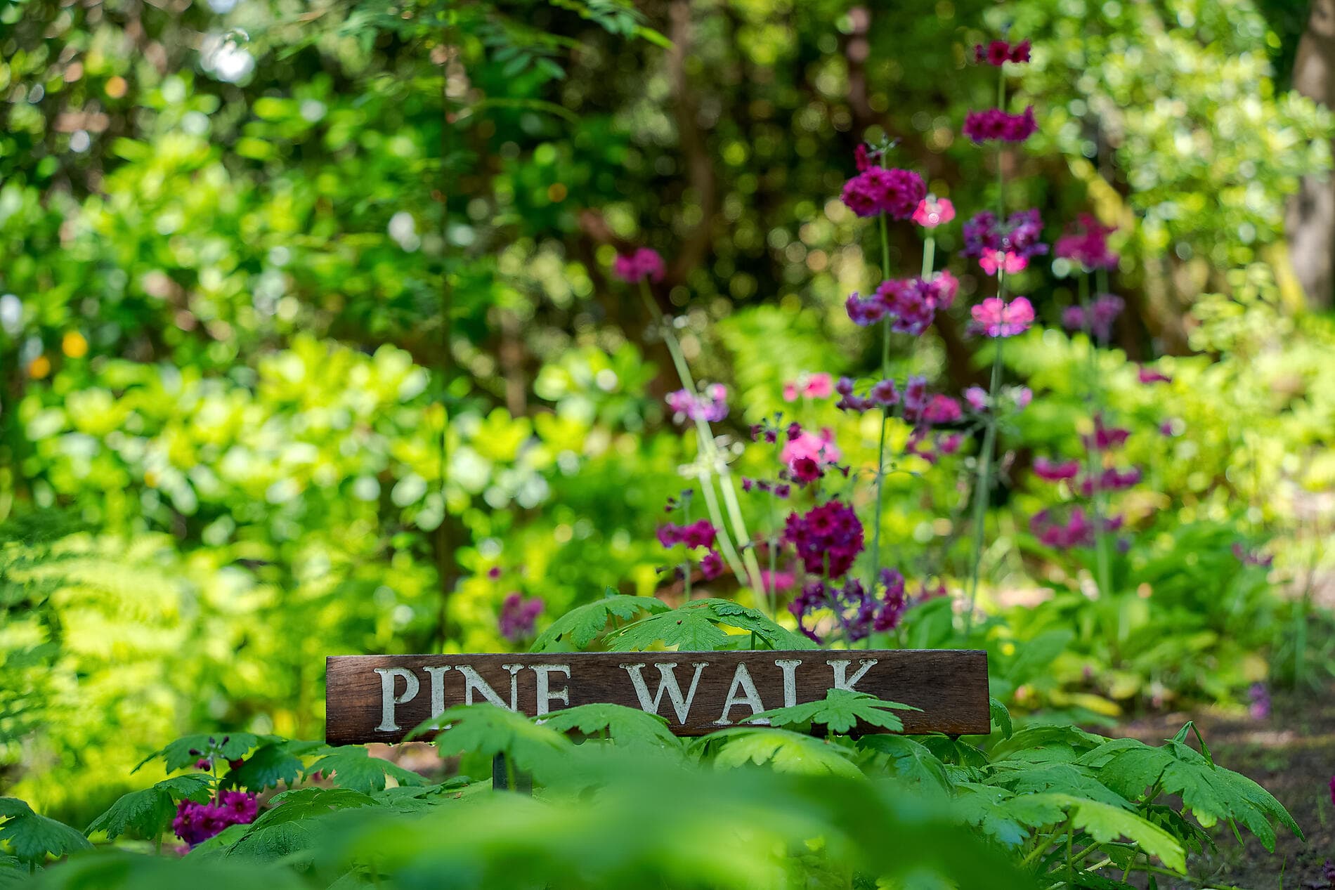 Hébrides et Highlands, terres de légendes 