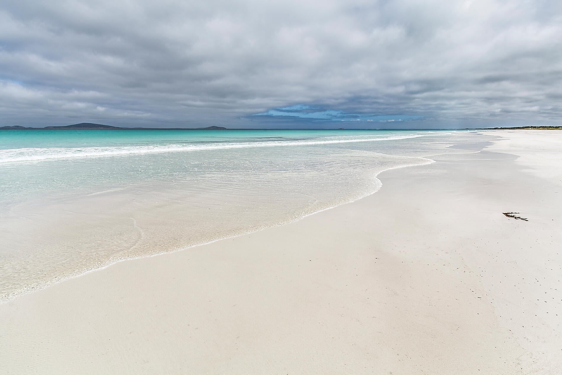 N_6292_A250118 Sydney-Sydney©StudioPONANT-Olivier Blaud.jpg