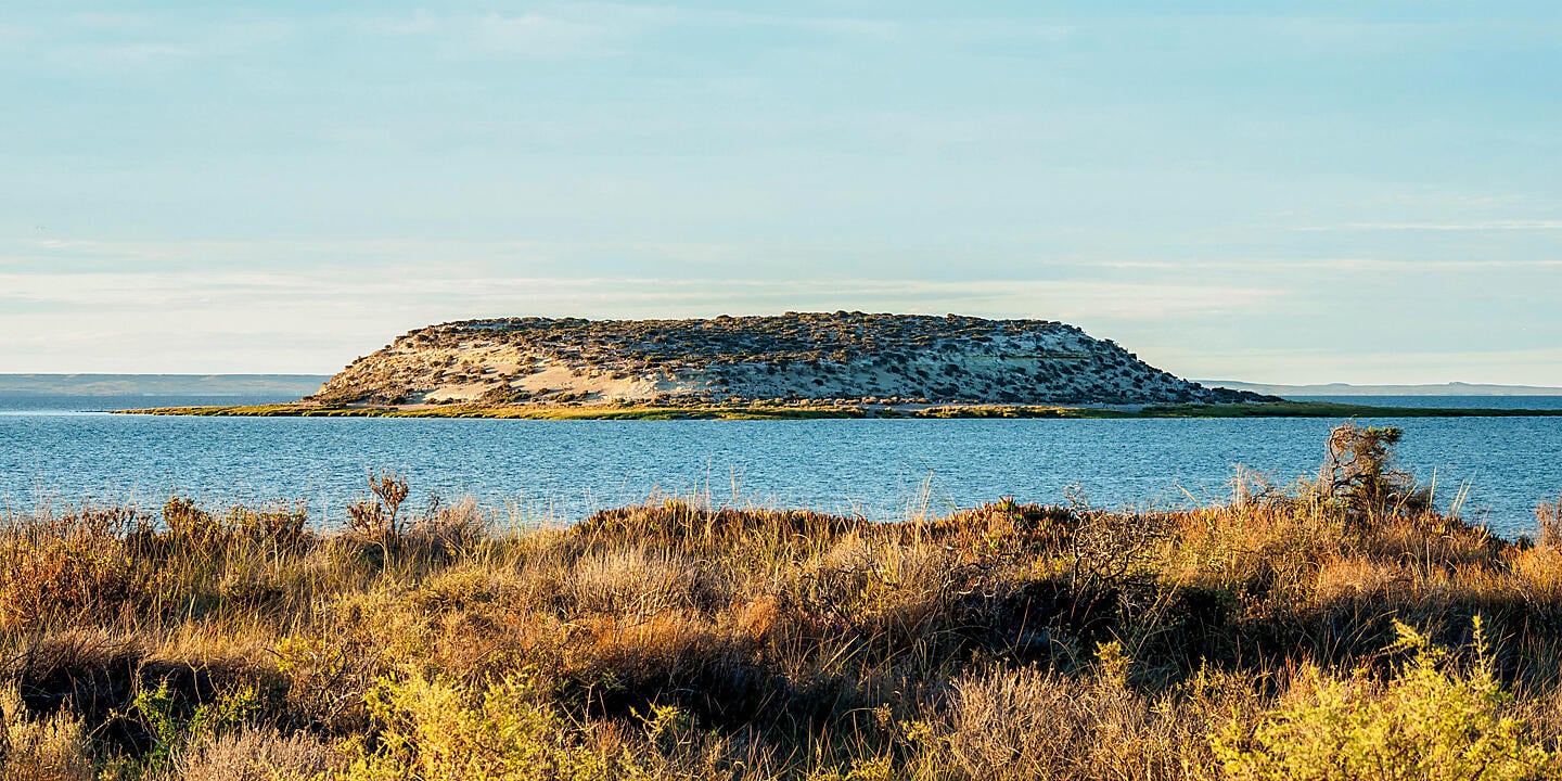 Falkland, Géorgie du Sud & péninsule Valdés : au cœur du monde sauvage