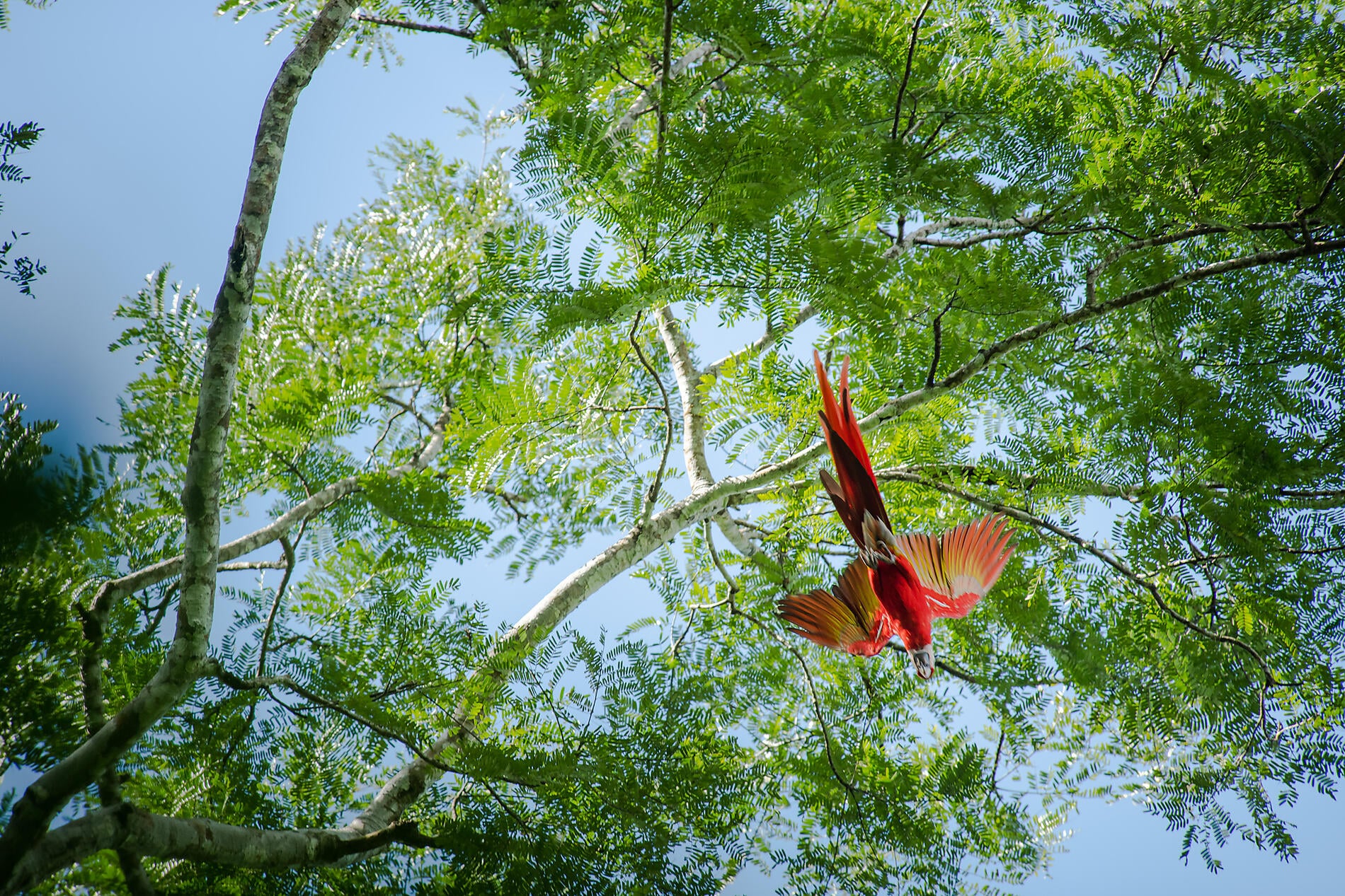 Côte pacifique du Costa Rica Côte pacifique du Costa Rica