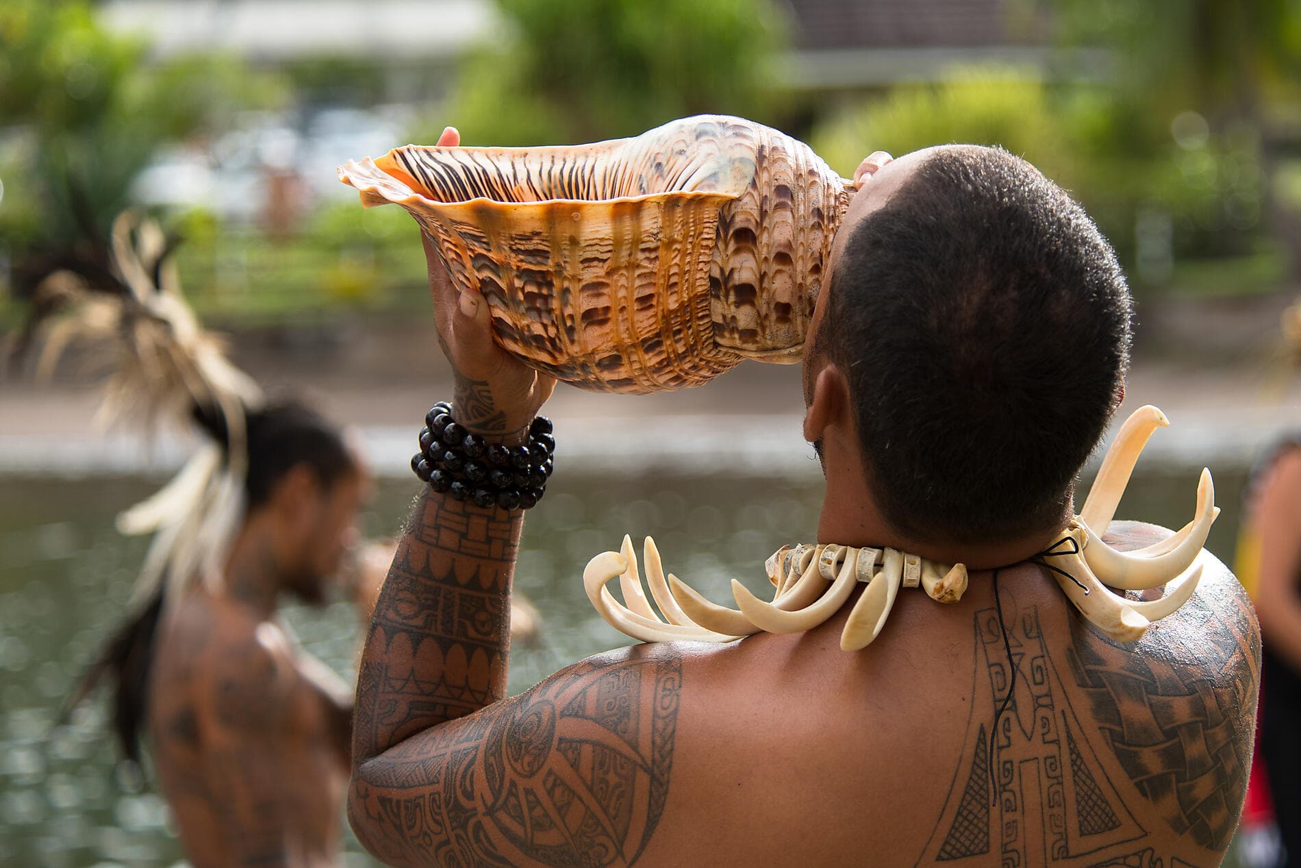 Perles des îles de la Société