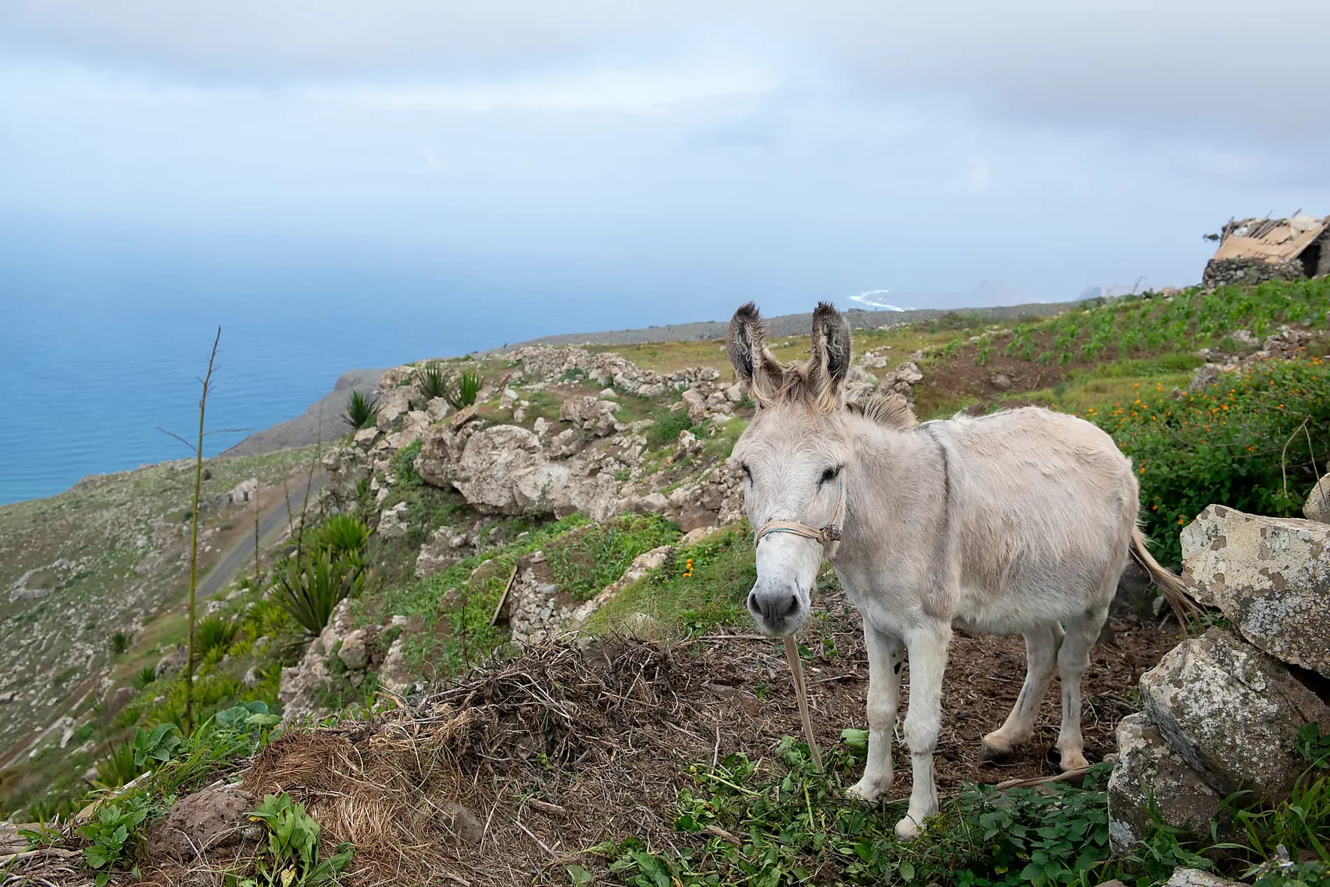 Canaries, Maroc et Portugal